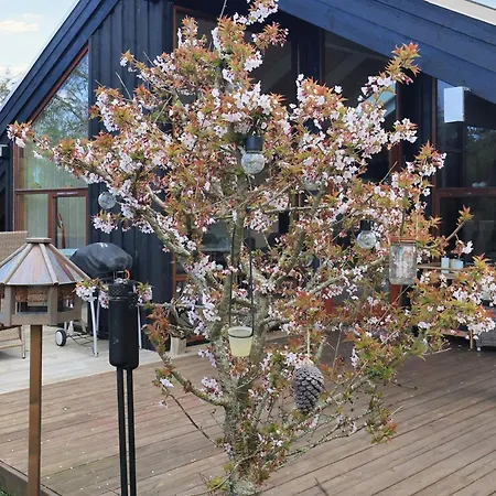 6 Person Holiday In Ferienhaus Skagen